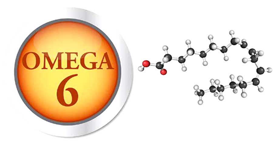 https://www.aligok.com.tr/wp-content/uploads/2019/05/omega6.jpg