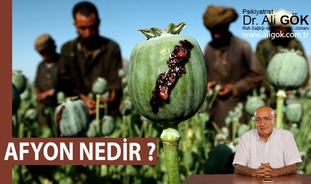 https://www.aligok.com.tr/wp-content/uploads/2021/03/afyonnedir.jpg